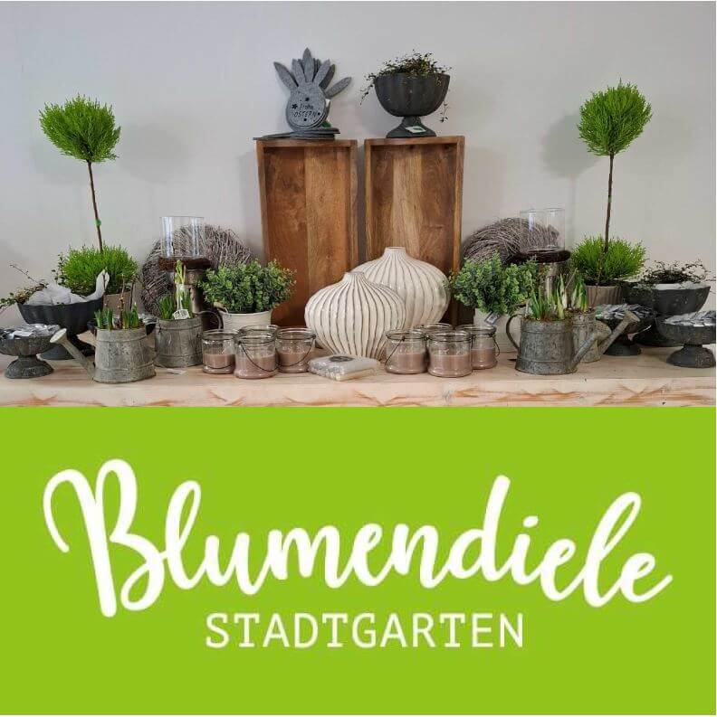 Das Bild zeigt Dekoartikel, wie Vasen und Blumentöpfe mit Pflanzen. Darunter ist das Firmenlogo